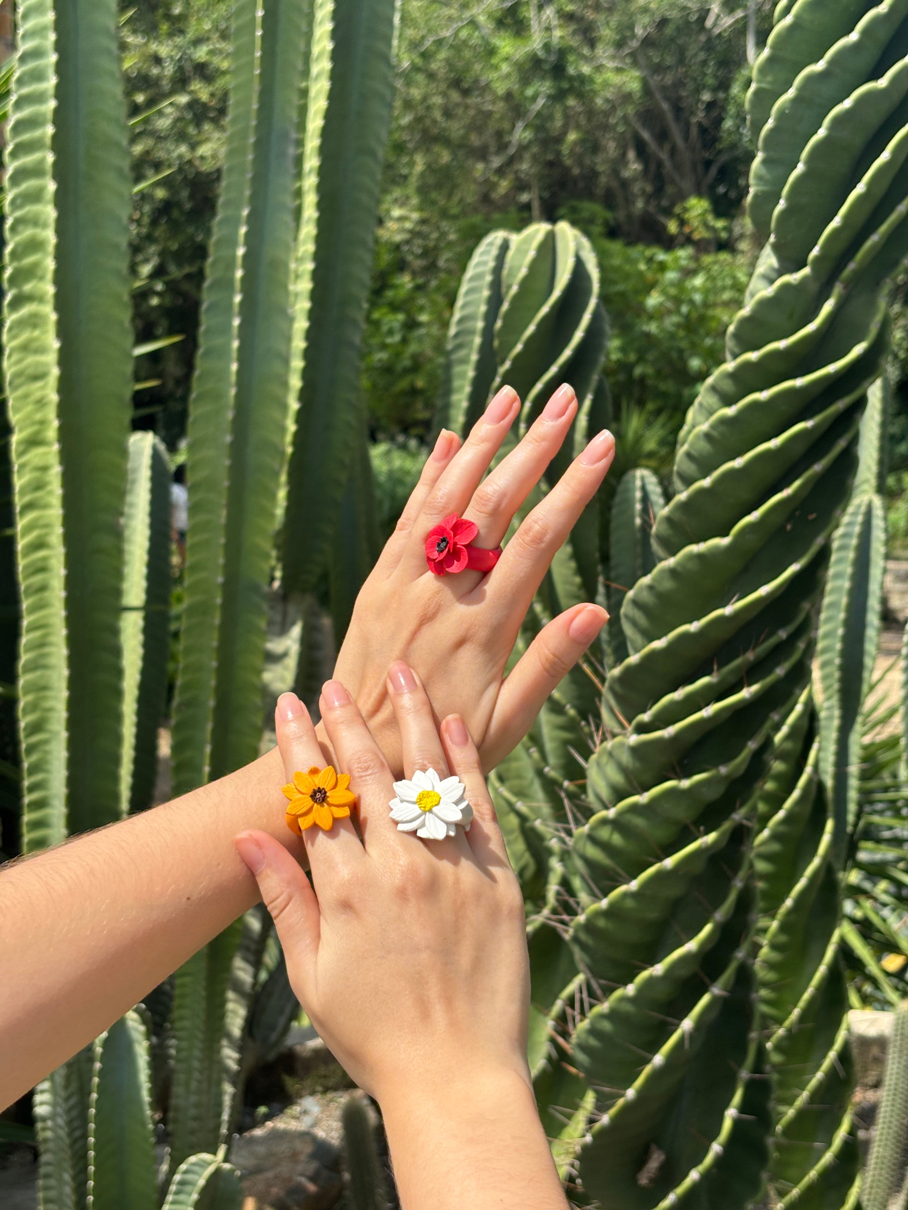 Anillos